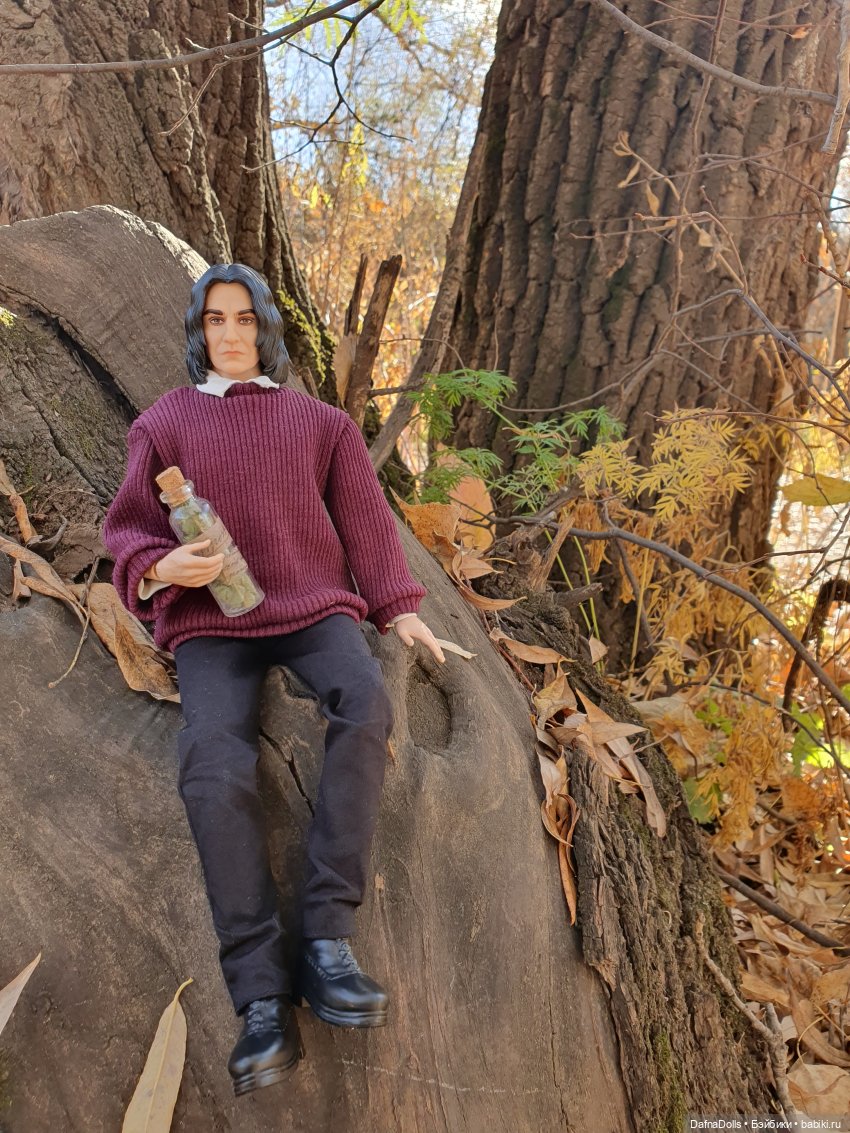 Профессор Снейп в поисках волшебного артефакта (фото 4)