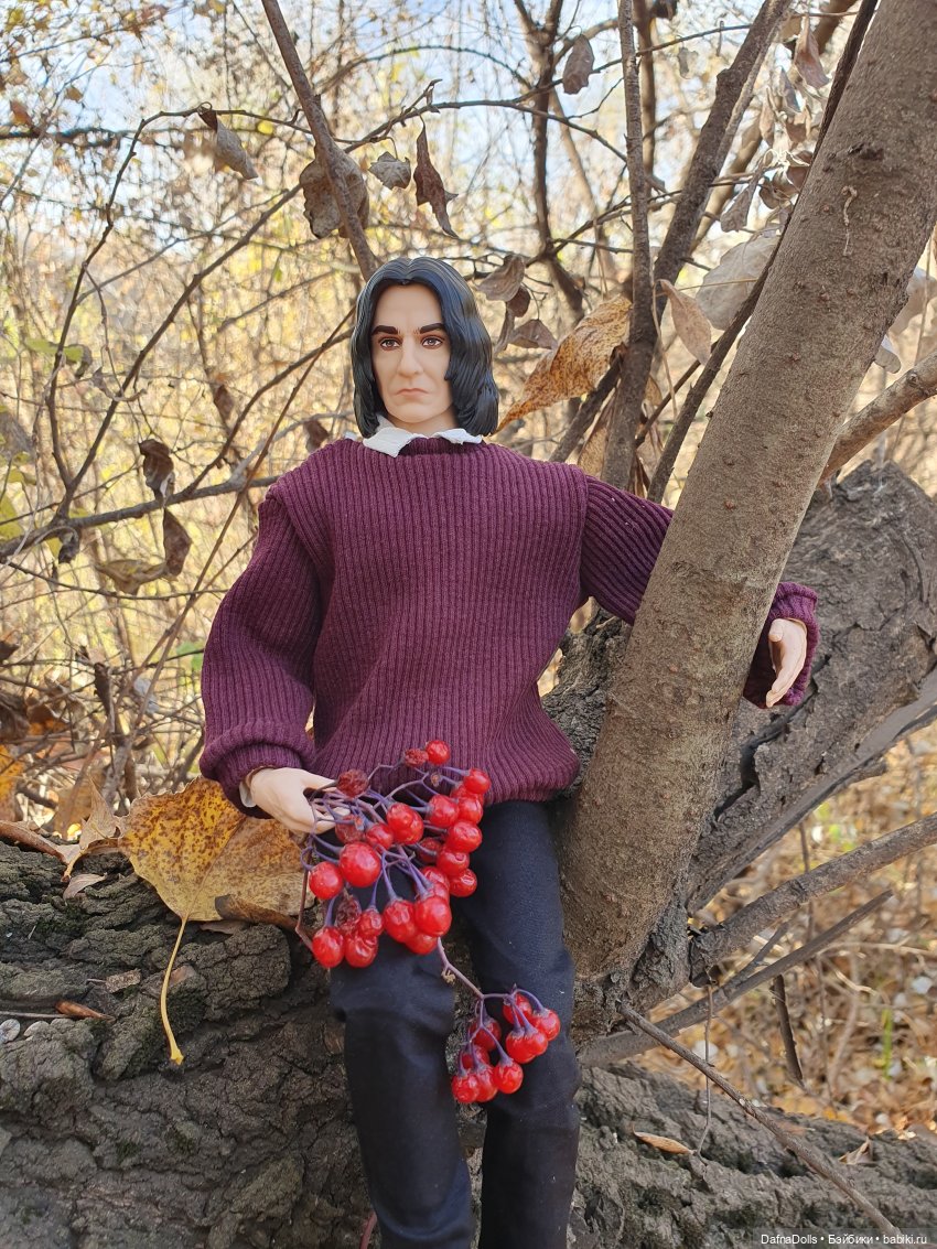 Профессор Снейп в поисках волшебного артефакта (фото 5)