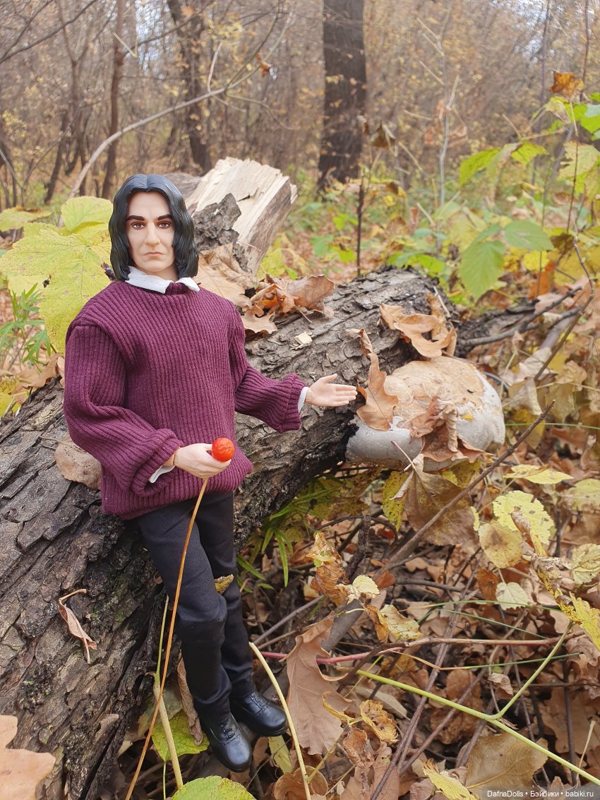 Профессор Снейп в поисках волшебного артефакта (фото 6)