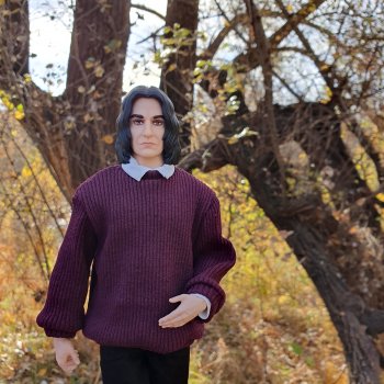 Профессор Снейп в поисках волшебного артефакта