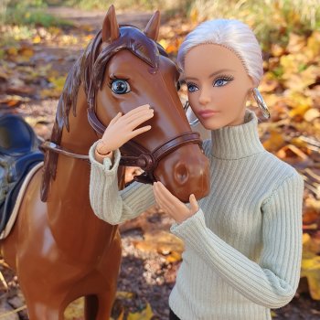 🐴 🍂🍁Конная прогулка и обзор на коня Defa Lusy