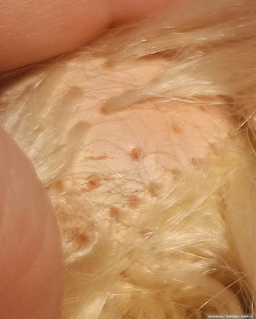 Счастливый день Стейси — Реставрация и преображение кукол: ремонт