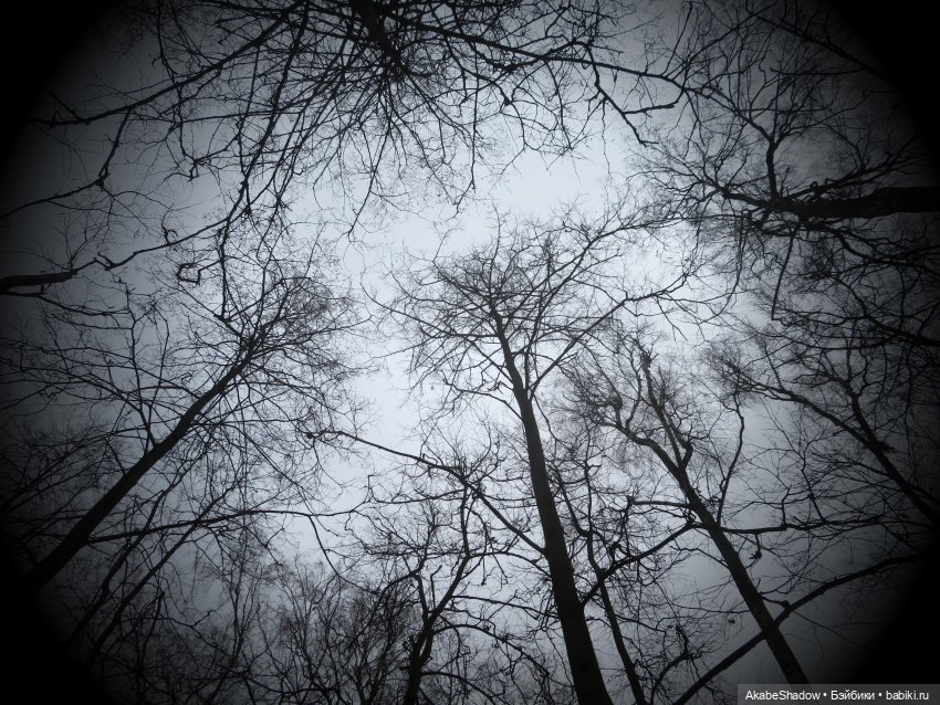 Боевые будни: Зона — Гибриды шарнирных кукол (не БЖД): подбор тела