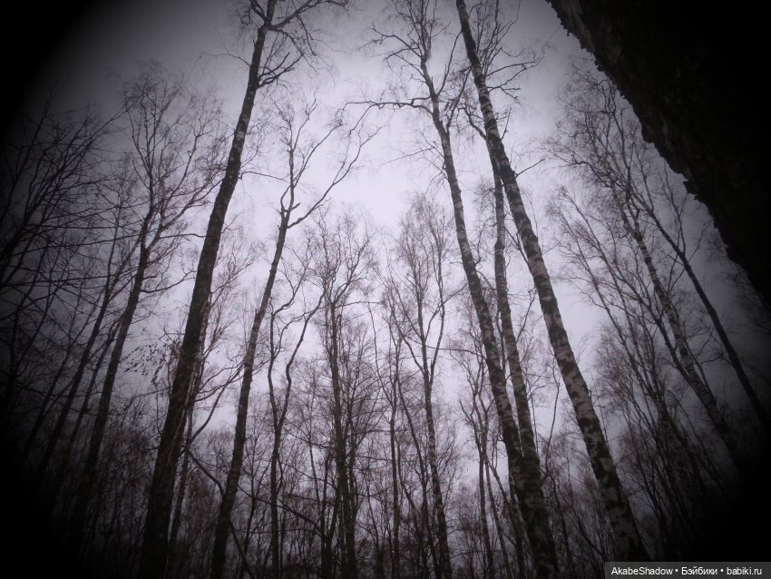 Боевые будни: Зона — Гибриды шарнирных кукол (не БЖД): подбор тела (фото 7)