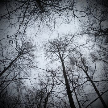 Боевые будни: Зона