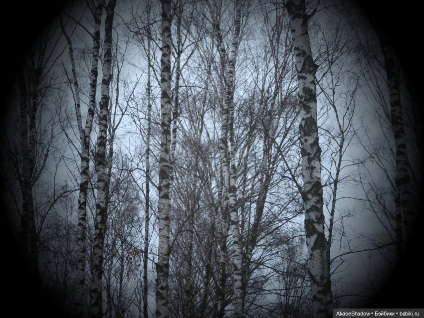 Боевые будни: Зона - новые вводные