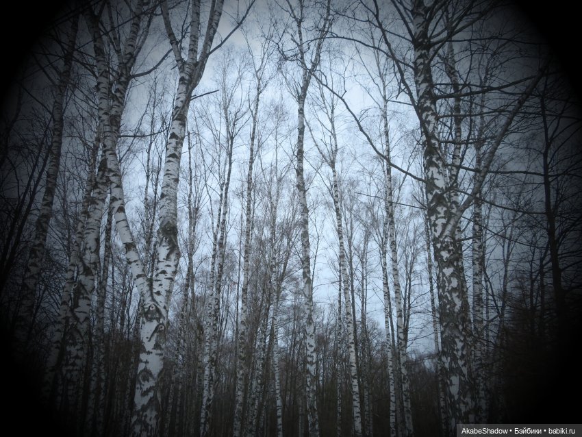 Боевые будни: Зона - новые вводные