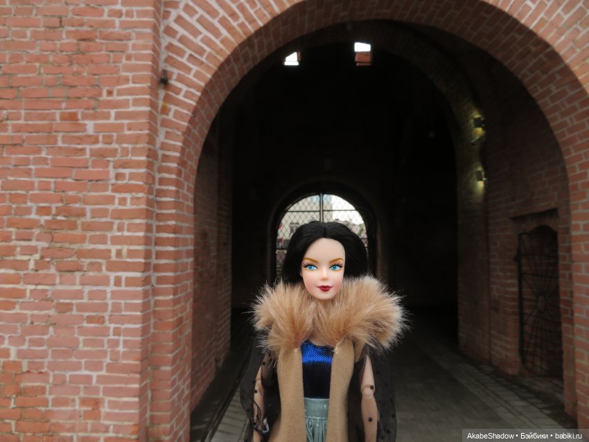 Пани Лигия на прогулке — Аналоги Барби и куклы 1/6: клоны 90 (фото 6)