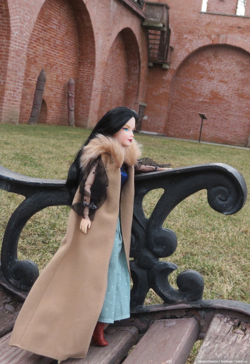 Пани Лигия на прогулке — Аналоги Барби и куклы 1/6: клоны 90 (фото 4)