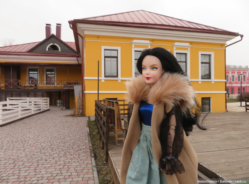 Пани Лигия на прогулке — Аналоги Барби и куклы 1/6: клоны 90 (фото 9)