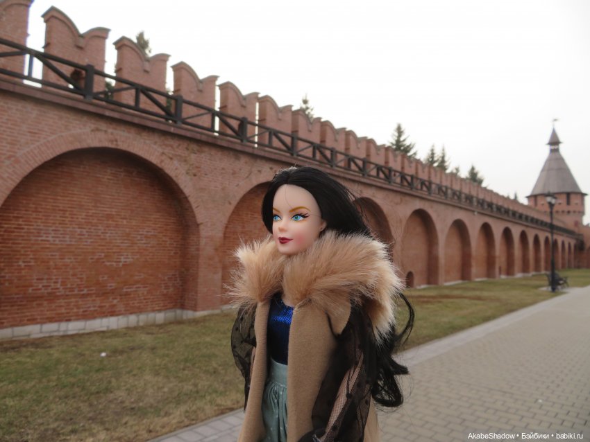 Пани Лигия на прогулке — Аналоги Барби и куклы 1/6: клоны 90