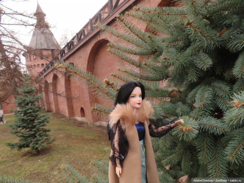 Пани Лигия на прогулке — Аналоги Барби и куклы 1/6: клоны 90 (фото 3)