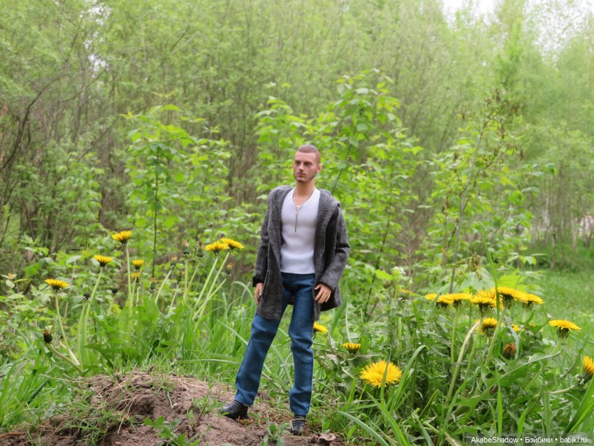 Лето, цветочки, спокойствие (фото 2)