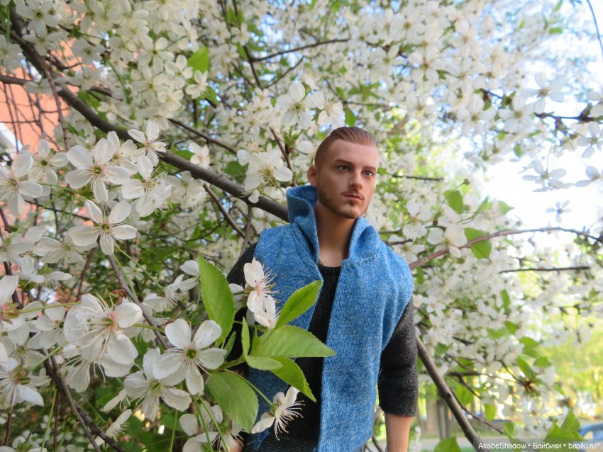 Лето, цветочки, спокойствие (фото 6)