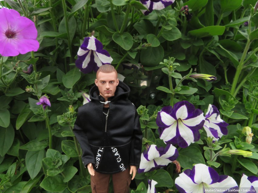 Лето, цветочки, спокойствие (фото 3)