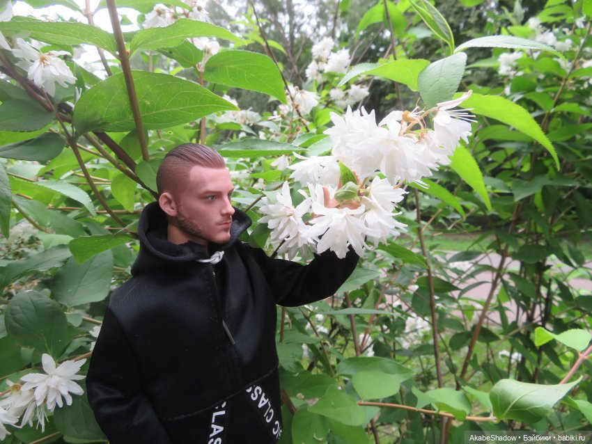 Лето, цветочки, спокойствие (фото 4)