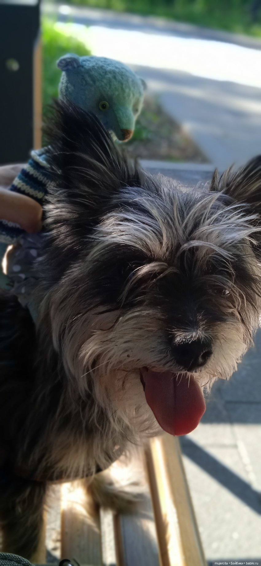 Каникулы Бонифация — Авторские мишки Тедди и друзья: фото (фото 3)