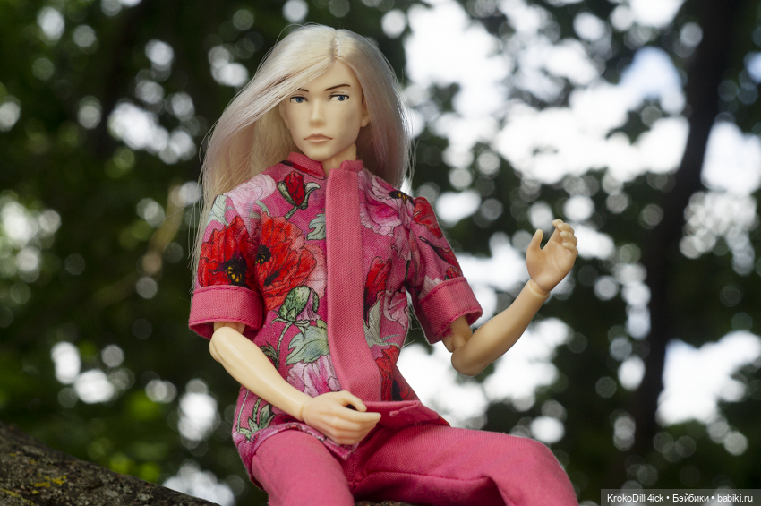 Воскресная прогулка — Куклы Momoko и Ruruko (Petworks (фото 5)