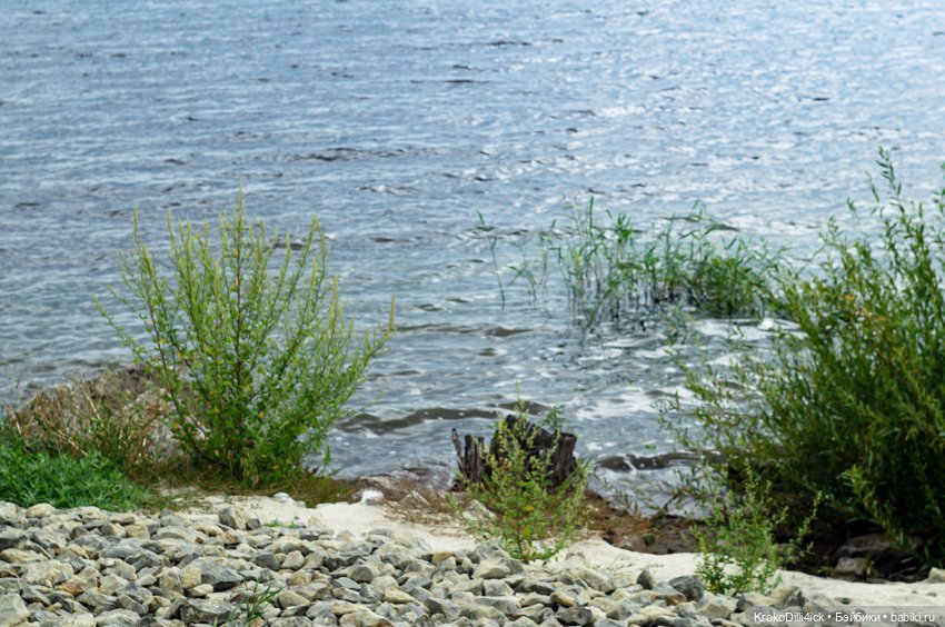 Лето продолжается — Куклы Momoko и Ruruko (Petworks (фото 8)