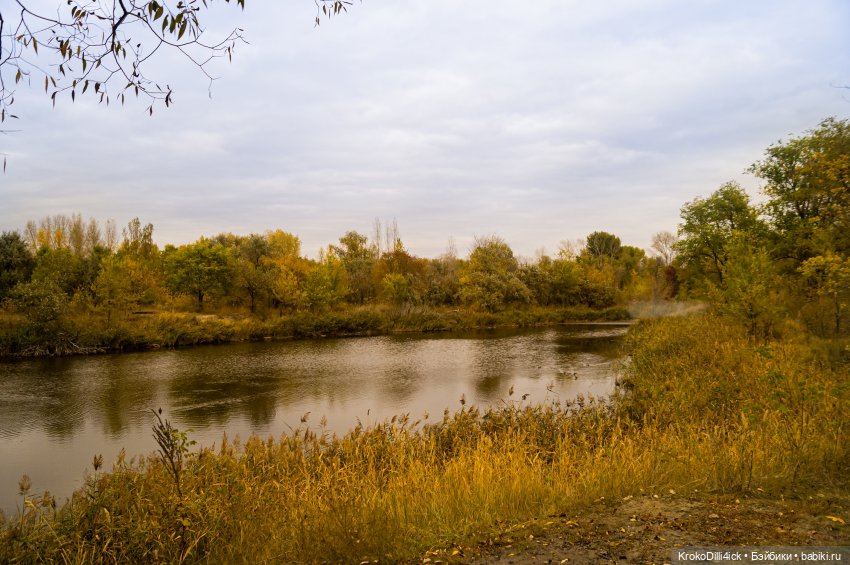 Осенние прогулки — Куклы Momoko и Ruruko (Petworks (фото 3)