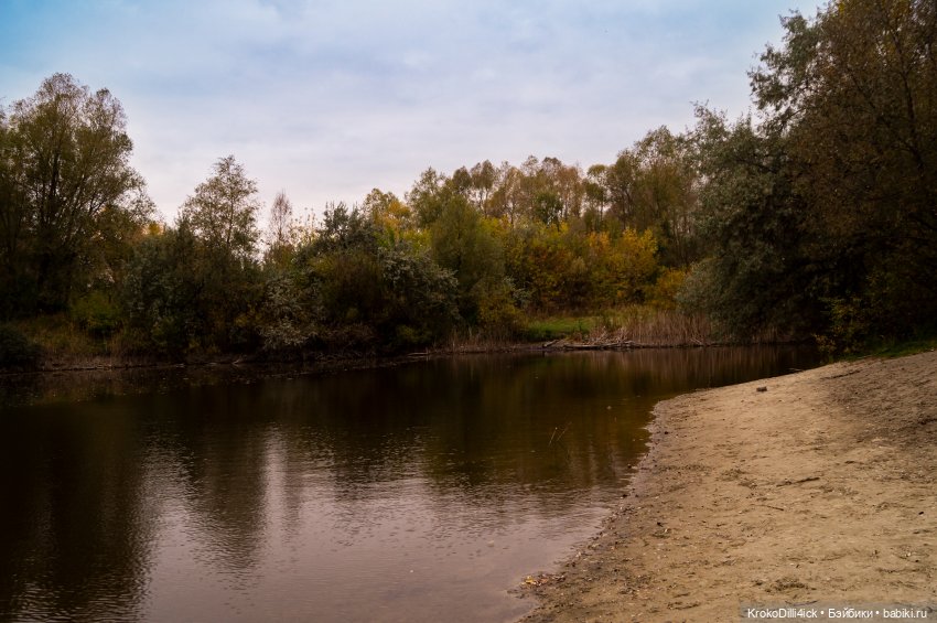Осенние прогулки — Куклы Momoko и Ruruko (Petworks (фото 2)