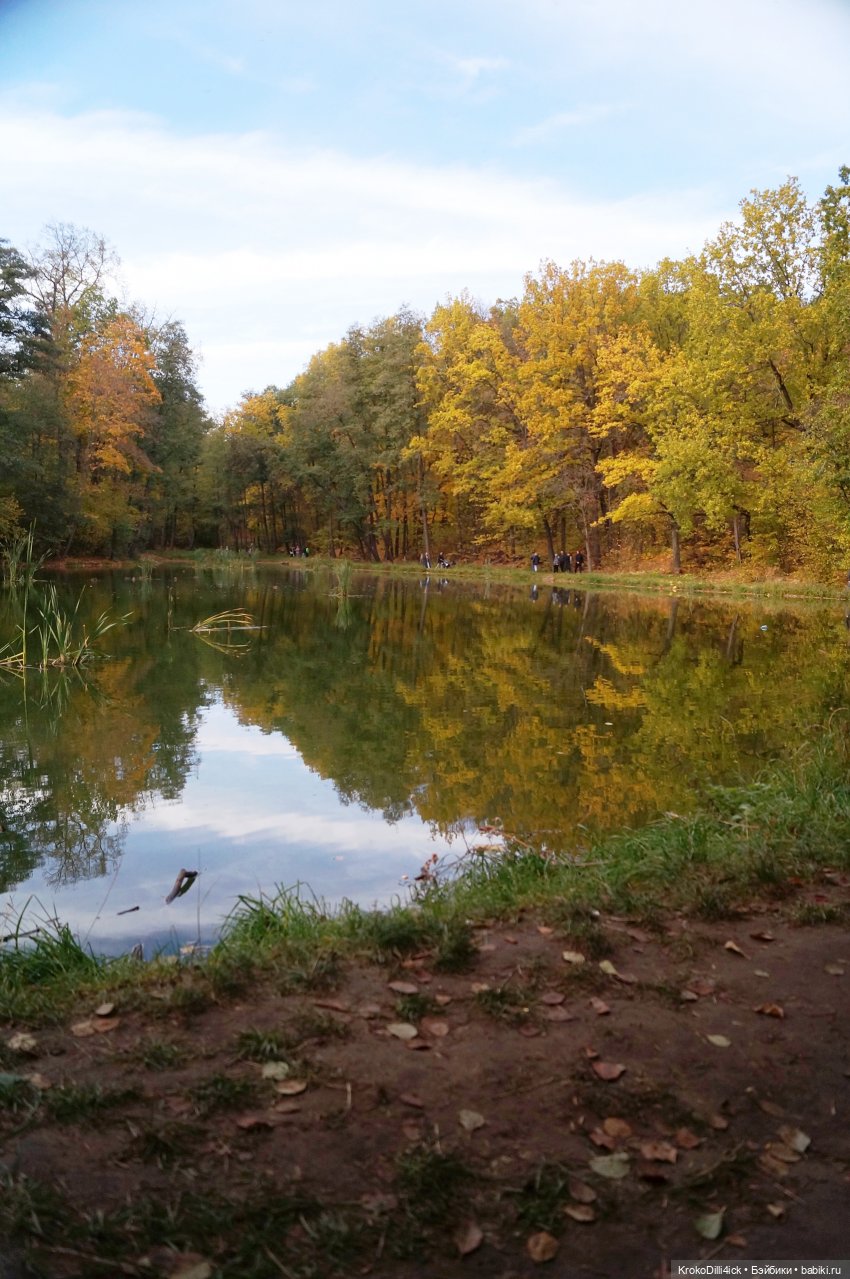 Осенние прогулки — Куклы Momoko и Ruruko (Petworks (фото 6)