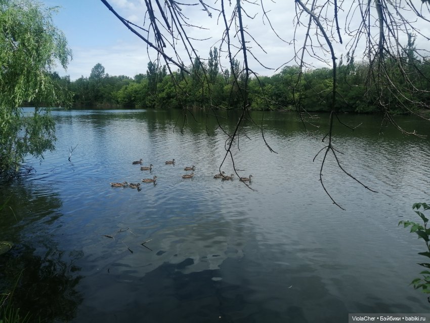Июльская прогулка — Куклы Madame Alexander (Мадам Александер): винтаж (фото 6)