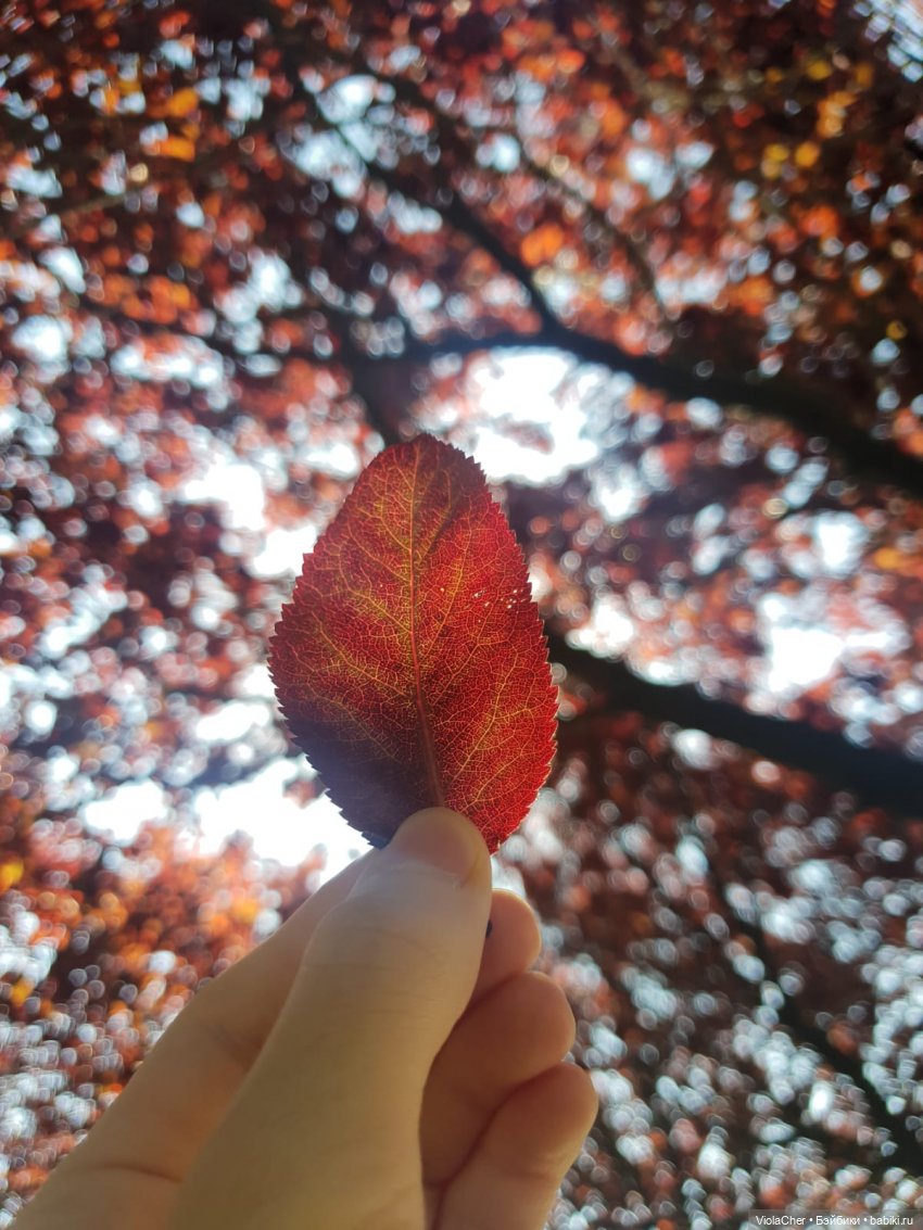 Июльская прогулка — Куклы Madame Alexander (Мадам Александер): винтаж (фото 5)