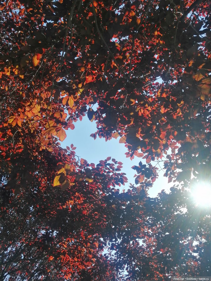 Июльская прогулка — Куклы Madame Alexander (Мадам Александер): винтаж (фото 4)