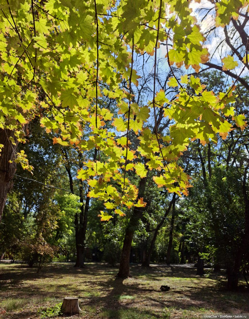 Гензель и Гретель на прогулке (фото 2)