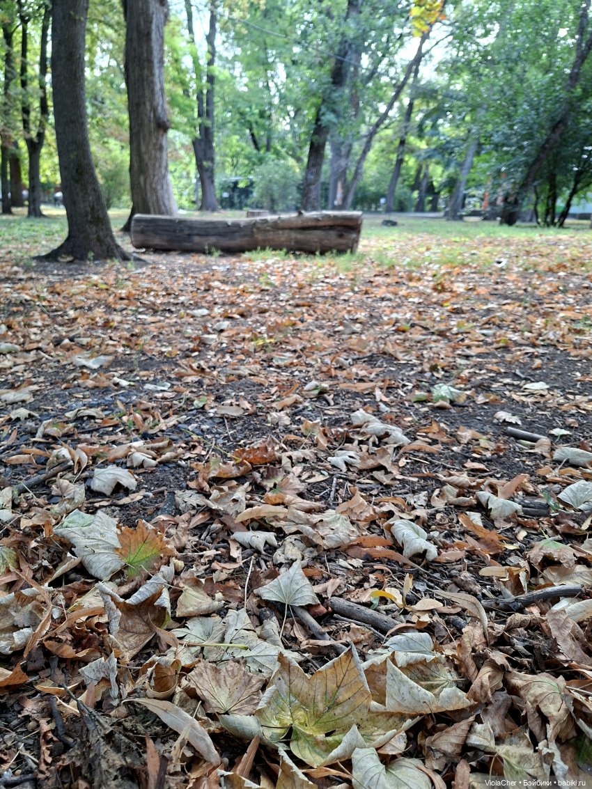 Я по парку — Куклы