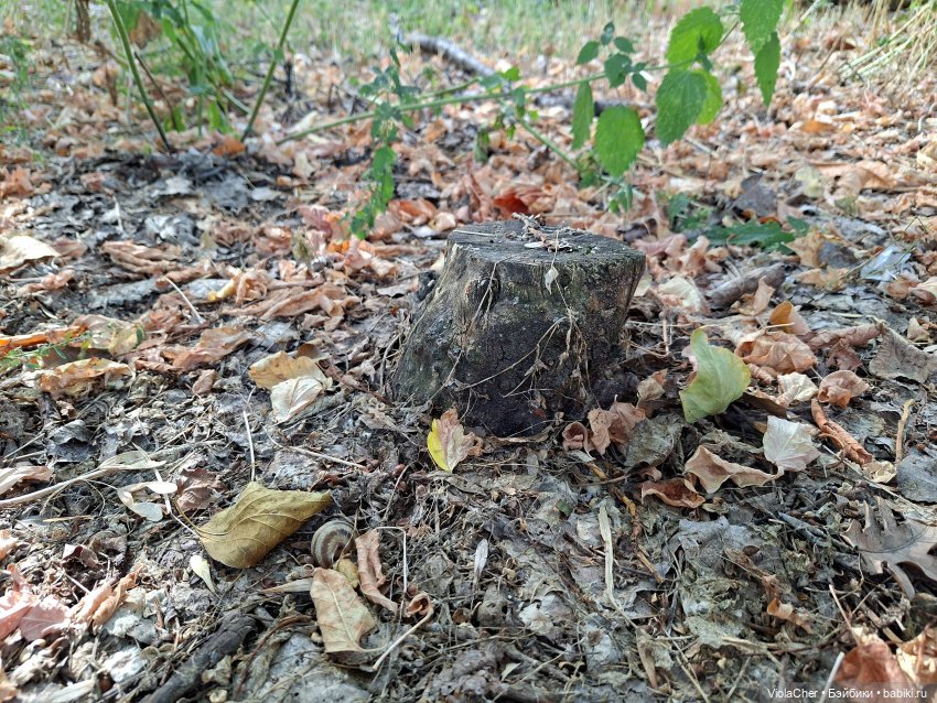 Я по парку — Куклы (фото 4)