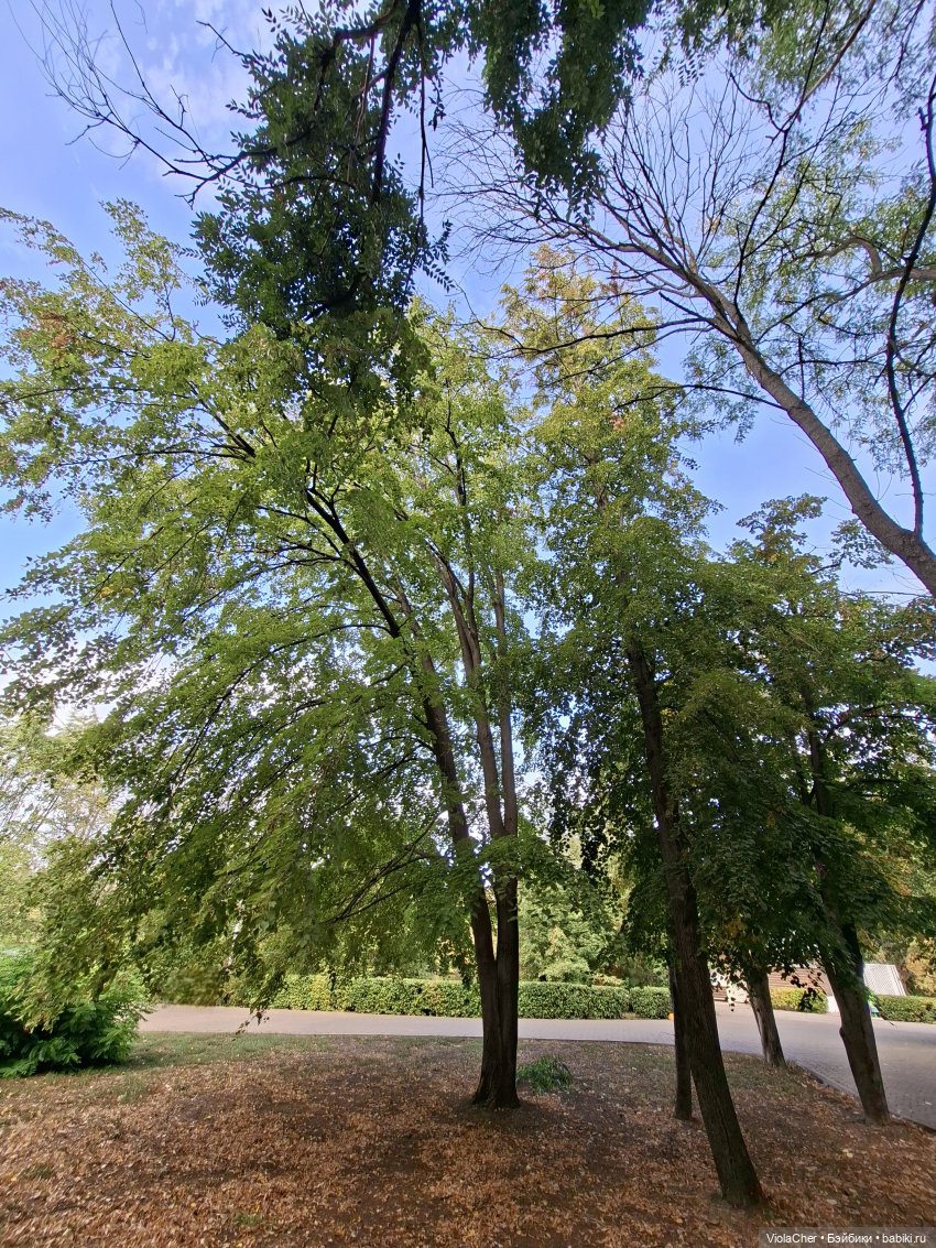 Я по парку — Куклы (фото 9)