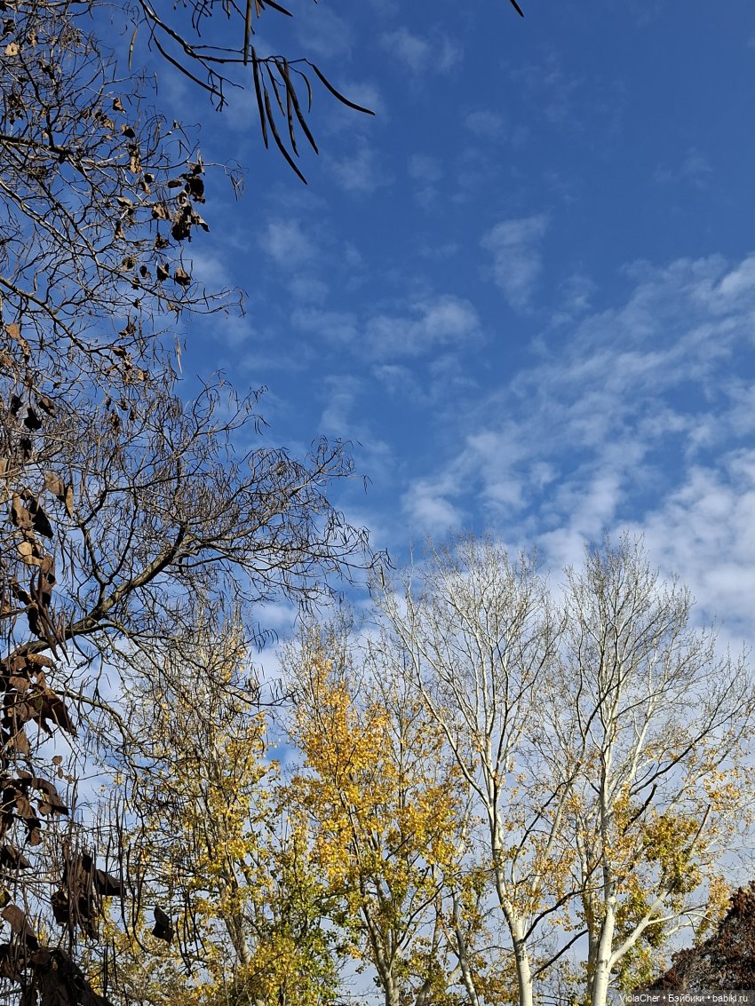 Сладкий ноябрь — Куклы