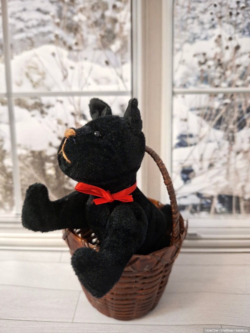 Дороти - долгожданный подарок (фото 2)