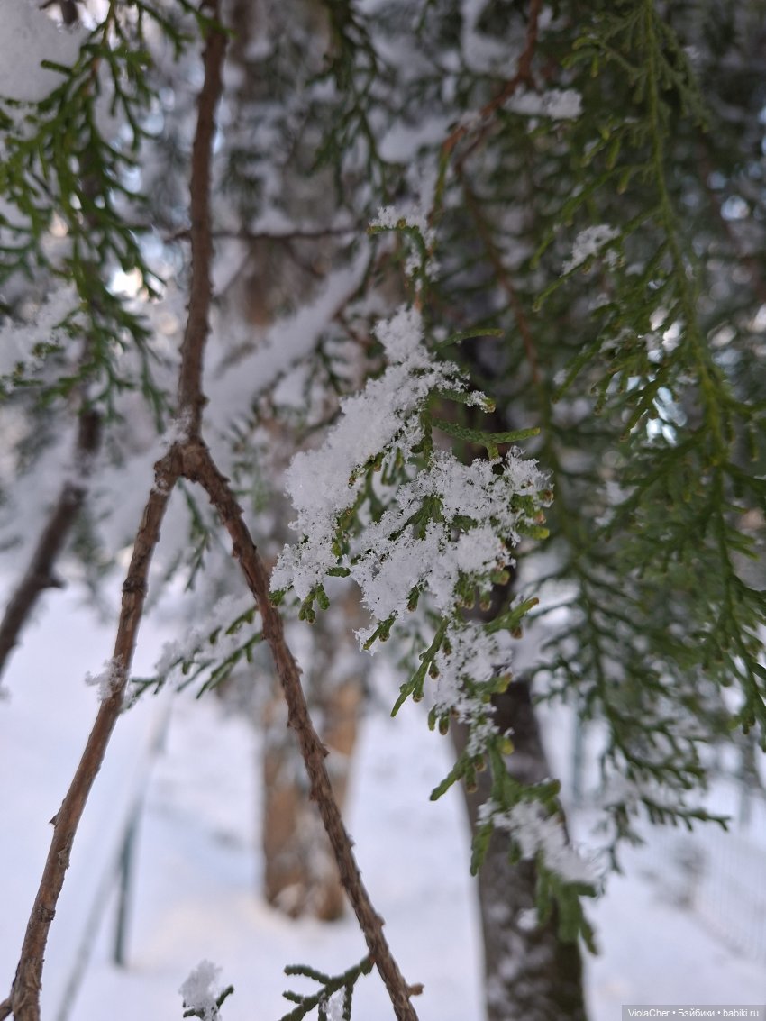 По праздничному городу — Куклы