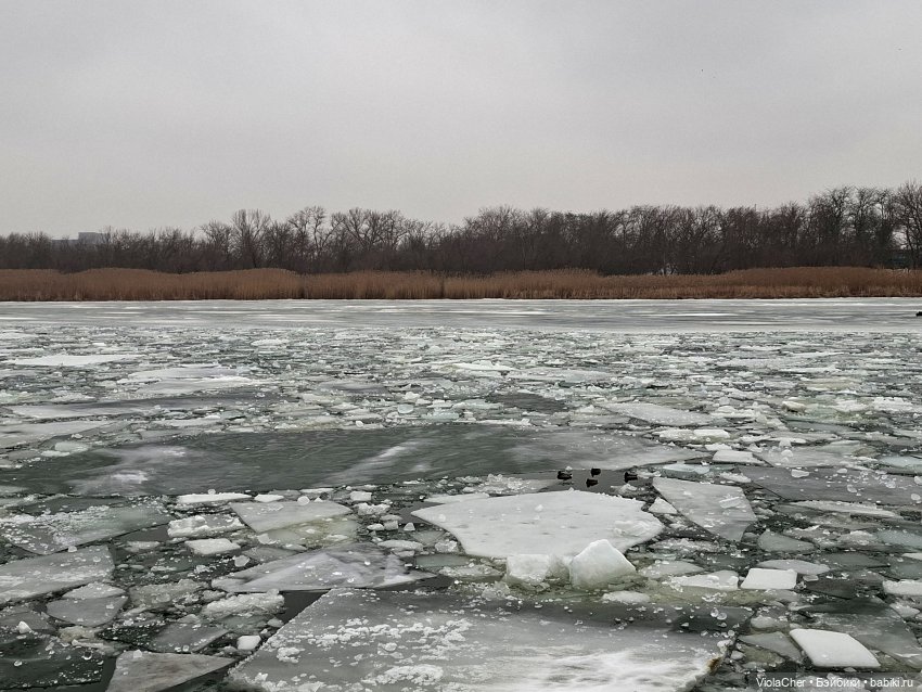 В феврале далеко до весны (фото 7)