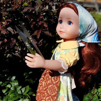 Последние хлопоты садовницы