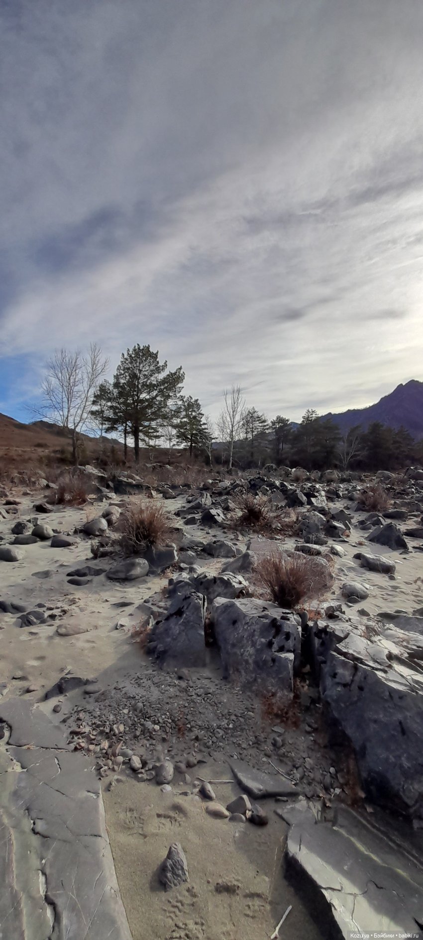 Поздняя осень в Горном Алтае (фото 2)