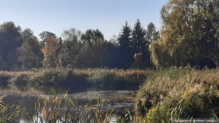 И с каждой осенью я расцветаю вновь; Здоровью моему полезен русской холод (фото 4)