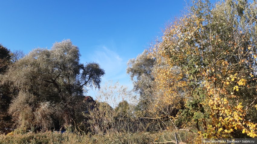 И с каждой осенью я расцветаю вновь; Здоровью моему полезен русской холод (фото 3)