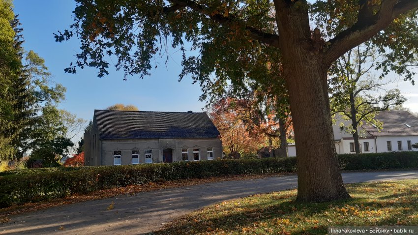 И с каждой осенью я расцветаю вновь; Здоровью моему полезен русской холод (фото 5)