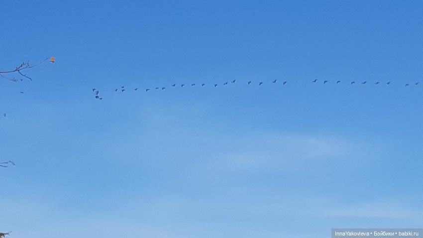 И с каждой осенью я расцветаю вновь; Здоровью моему полезен русской холод (фото 2)
