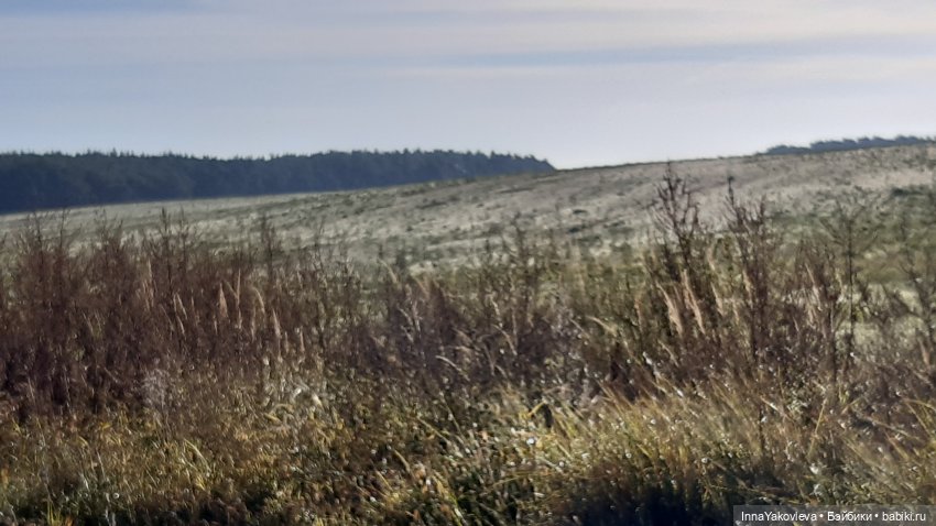 И с каждой осенью я расцветаю вновь; Здоровью моему полезен русской холод