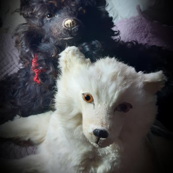 Пижамная вечеринка