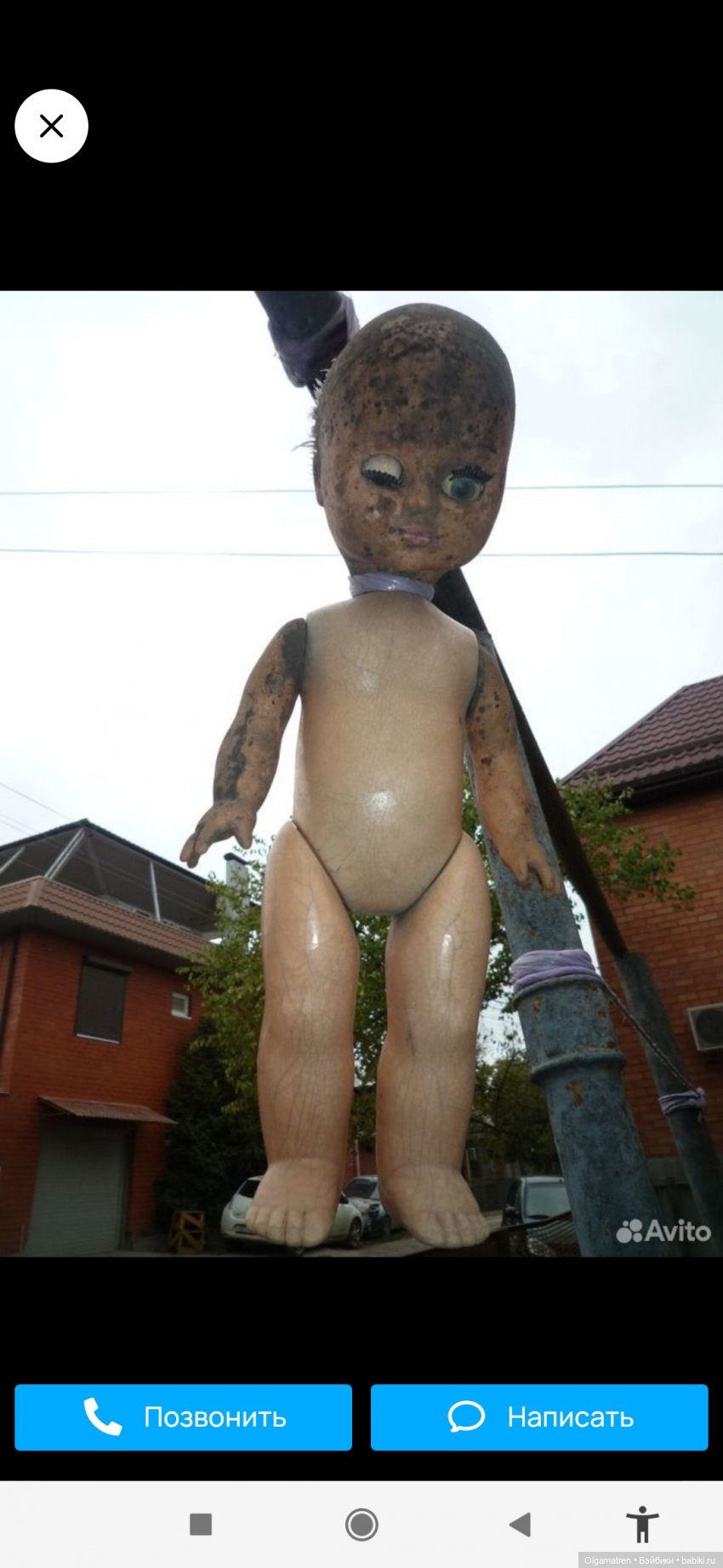 Кто-нибудь возьмётся спасти (фото 2)