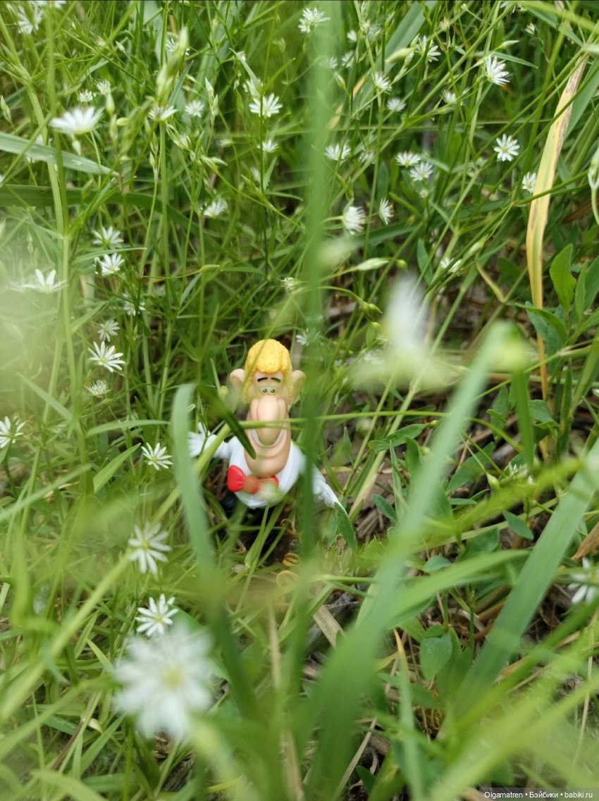 Агент 00Х в поисках цветущего кактуса