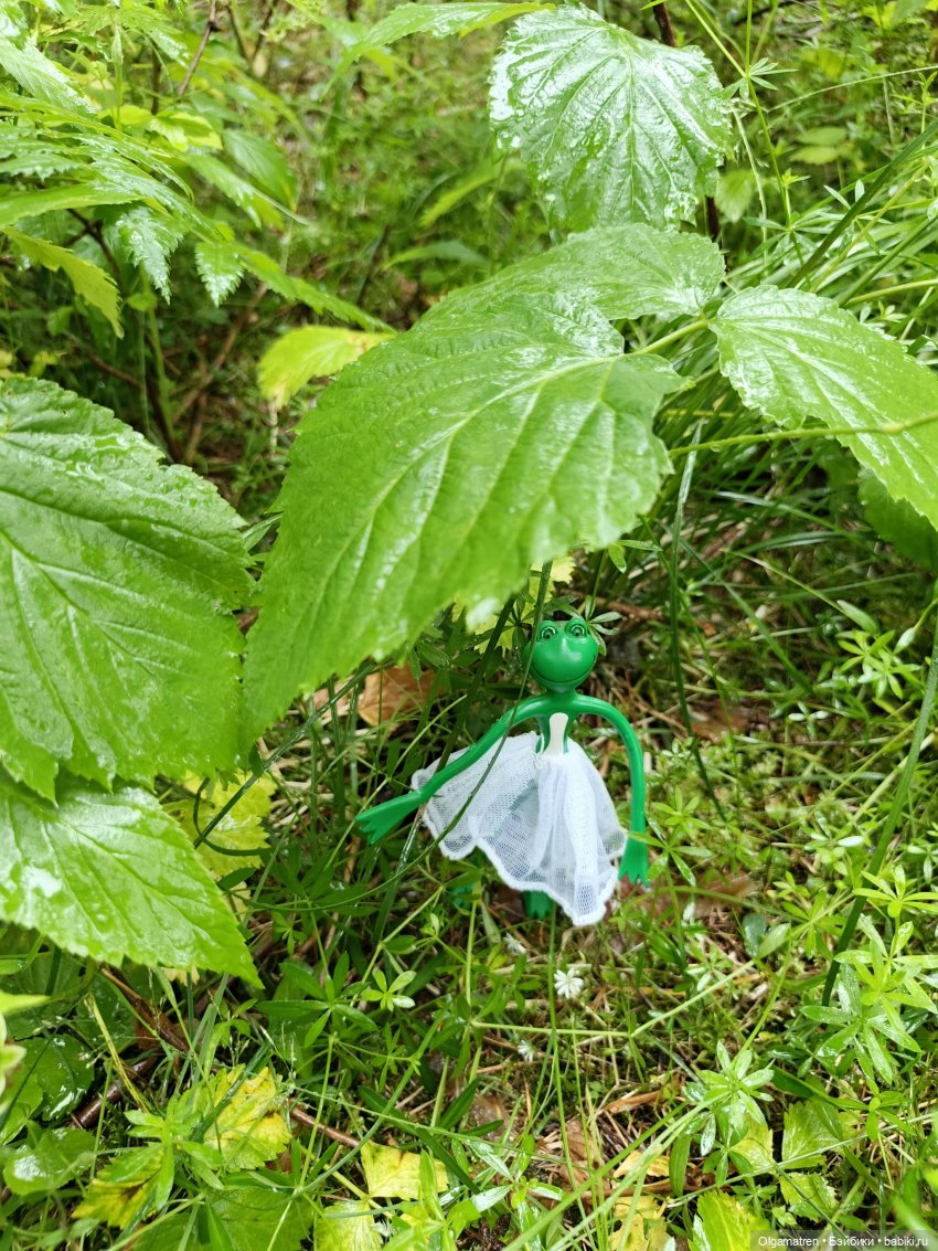 У-у-у, дождь🫤 или дождик весёлого настроения (фото 7)