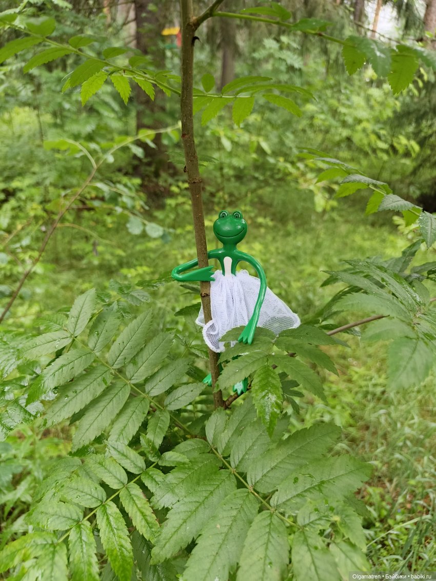 У-у-у, дождь🫤 или дождик весёлого настроения (фото 6)