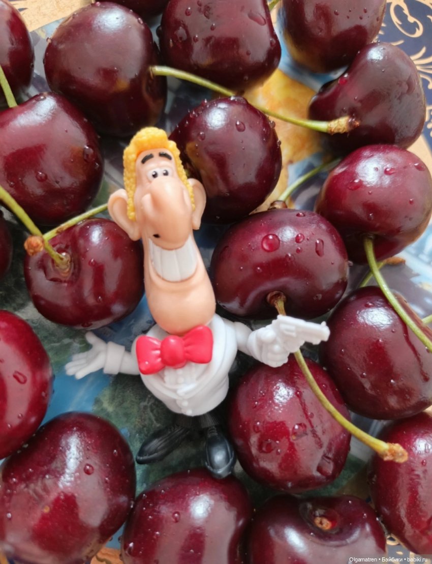 Агент 00Х в поисках цветущего кактуса (фото 2)